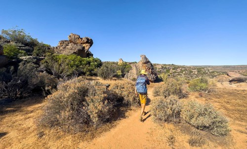 Hikers on the Seville Art Rock Trail, dry landscape with rock formations, Cederberg Mountains, near