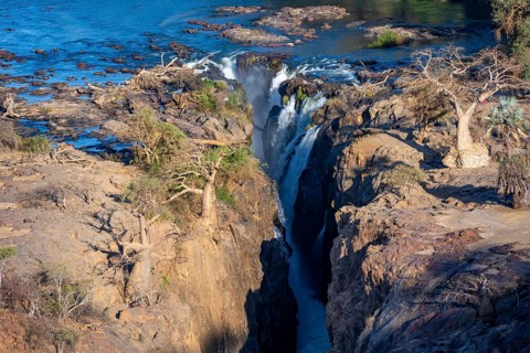 Kunene River, waterfall and African Baobab (Adansonia digitata), in the evening light, Epupa Falls,