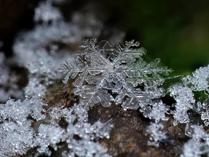Detailed close-up of a snowflake in its complex structure