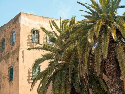 An old building with palm trees in front and several windows under a sunny sky, Tunis in Africa