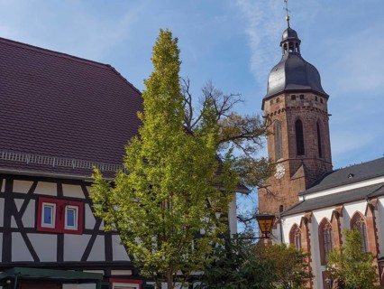 A half-timbered house with a tree in the foreground and a church with gothic architecture in the