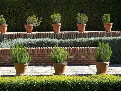Terracotta pots with green plants on a stepped wall, surrounded by a well-kept hedge, the historic