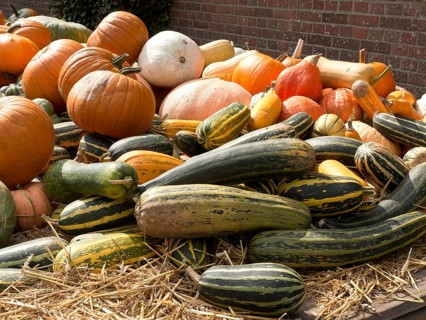 Various pumpkins in a straw base in front of a brick wall, many colourful pumpkins for decoration