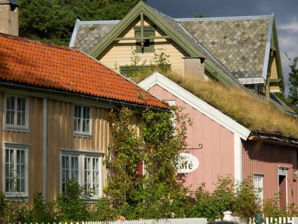 Different coloured houses with a cafe sign and green vegetation, colourful wooden houses behind