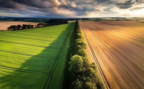 Field hedges from above, between the fields serve as biotope and protection against soil erosion,