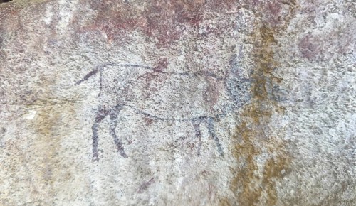 Prehistoric animal depiction of an Eland on a rock, San rock paintings, Sevilla Art Rock Trail,