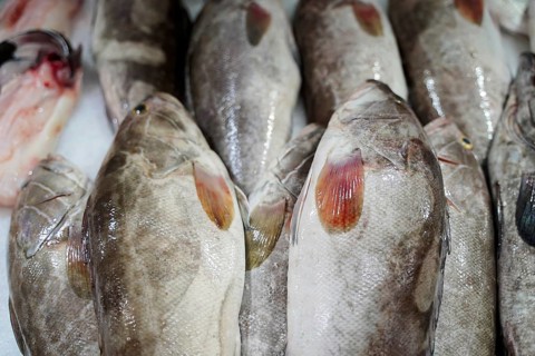 Market hall, Mercado de Nuestra Senora de Africa, Santa Cruz de Tenerife, Tenerife, Canary Islands,