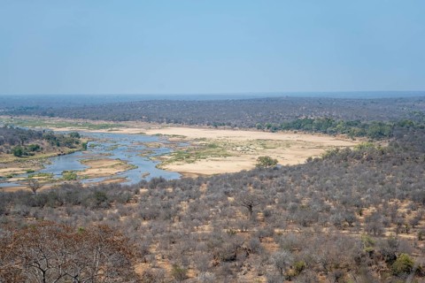 View over dry African savannah, Olifants River, Kruger National Park, South Africa, Africa