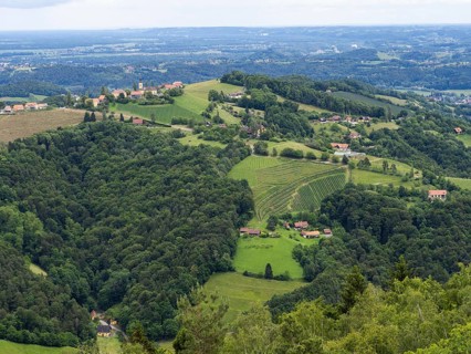 Hilly landscape, vineyards, view from the Demmerkogel lookout point, St. Andrae-Hoech, Sausal wine
