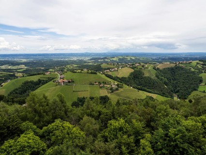 Hilly landscape, vineyards, view from the Demmerkogel lookout point, St. Andrae-Hoech, Sausal wine