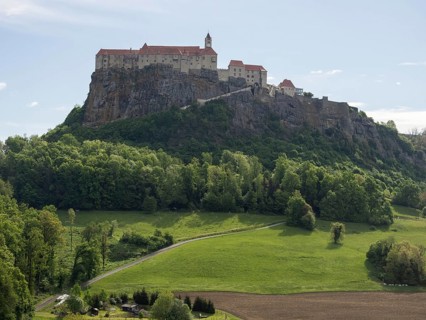 Field path leads through meadow at the edge of the forest, Riegersburg Castle in the background,