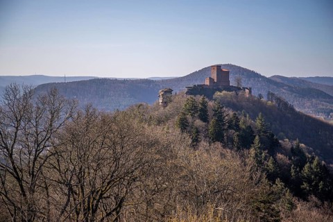 View of Trifels Castle, from Engels Landing rock, with the young tower in autumn at sunset.