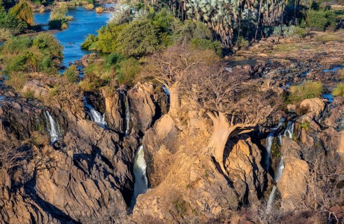 Kunene River, waterfall and African Baobab (Adansonia digitata), in the evening light, Epupa Falls,