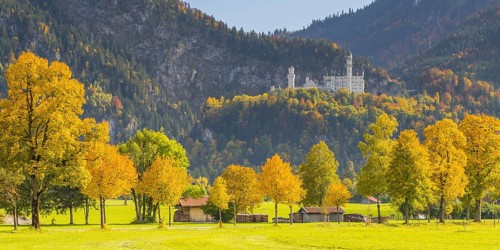Neuschwanstein Castle near Hohenschwangau, Romantic Road, Ostallgaeu, Bavaria, Germany, Europe