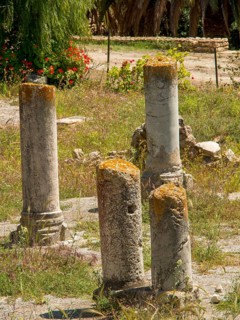 Ancient stone pillars of ruins surrounded by vegetation and grasses, Tunis in Africa with Roman