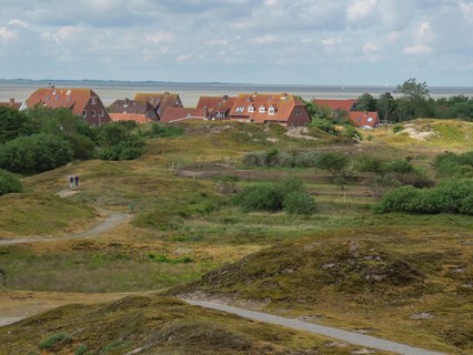 View of houses in the dunes with green vegetation and sea in the background under a cloudy sky,