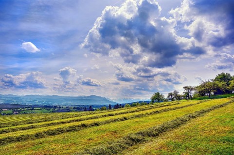 Spring, meadow with the first mowing and dramatic cloud formation over the Alps, Allgaeu, Bavaria,