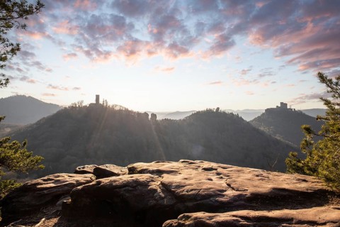 View of Trifels Castle, from Engels Landing rock, with the young tower in autumn at sunset.