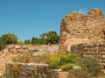 Ruins of ancient stone walls under a clear sky, surrounded by wild plants, Tunis in Africa with