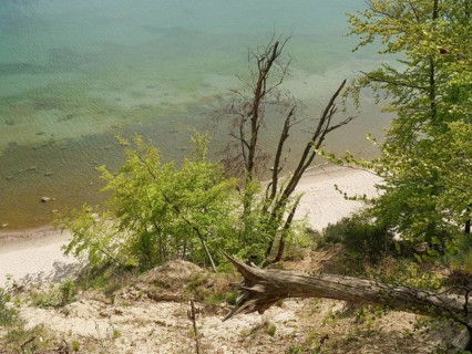 A rocky coastline with a sloping sandy beach, trees and clean water, Green trees on a Baltic Sea