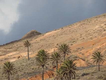 Stony desert landscape with palm trees and hills under a cloudy sky, Lanzarote, Spain, Europe