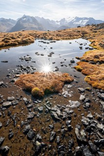 Small lake on the high plateau of the Gurgler Seenplatte, glaciated mountain peaks in the