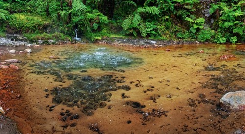 Hot natural thermal spring in Caldeira Velha with rocky shore, surrounded by lush ferns and green