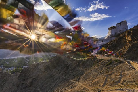 Namgyal Tsemo Gompa Monastery, Tsenmo Hills, Leh, Ladakh, Jammu and Kashmir, India, Asia