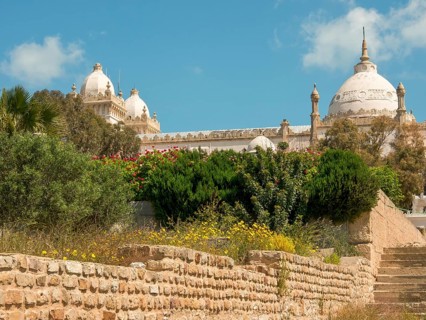 Historic buildings with large domes surrounded by gardens under a blue sky, Tunis in Africa with
