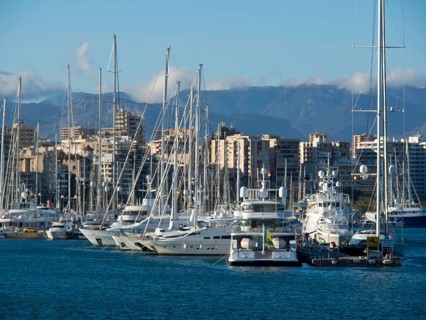 Marina with boats and skyscrapers against a mountain backdrop, palma de mallorca on the