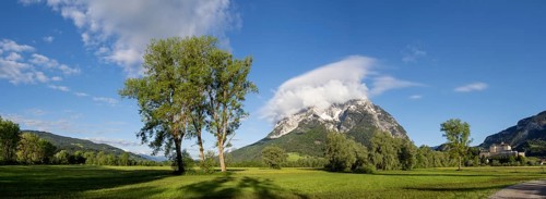 Trees in a meadow, Grimming mountain range in the morning light, panoramic shot, near Irdning,