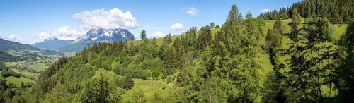 Forest edge, Ennstal, behind the Grimming, panoramic view, near Aigen im Ennstal, Styria, Austria,