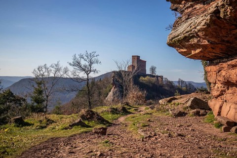 View of Trifels Castle, from Engels Landing rock, with the young tower in autumn at sunset.