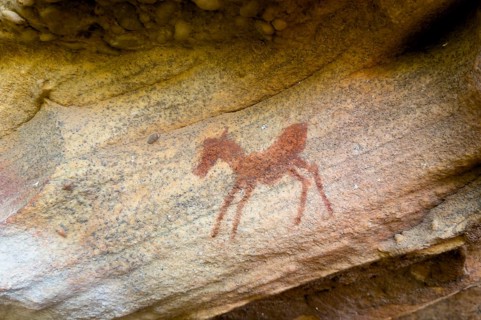 Prehistoric animal depiction on a rock, San rock paintings, Sevilla Art Rock Trail, Cederberg