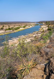View over dry African savannah, Olifants River, Kruger National Park, South Africa, Africa