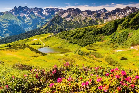 Alpine rose blossom, panorama from the Fellhorn over the Schlappoldsee and mountain station of the