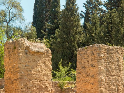Ancient ruins with trees in the background, under bright sunshine and clear sky, Tunis in Africa