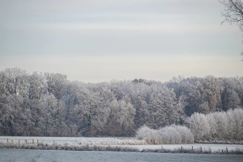 A frosty forest in the background, frozen fields in the foreground, wintry light, hoarfrost on