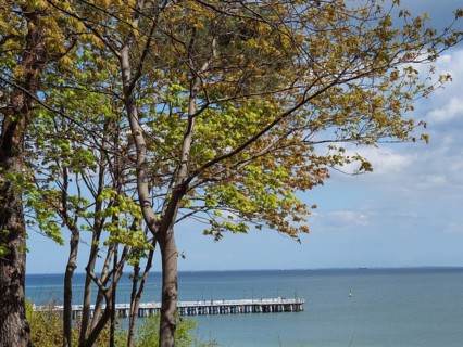 Blue sky and sea, with a jetty in the foreground, framed by green trees, spring on the Baltic Sea