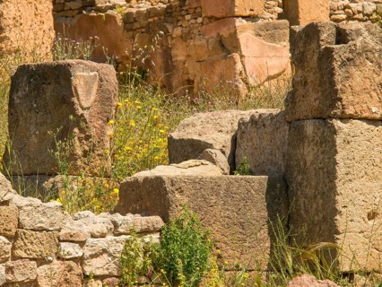 Ancient ruins made of stones, partly overgrown with plants in a natural environment, Tunis in