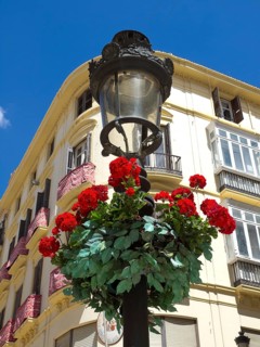 Decorated lantern with red flowers in front of an elegant historic building with balconies and blue