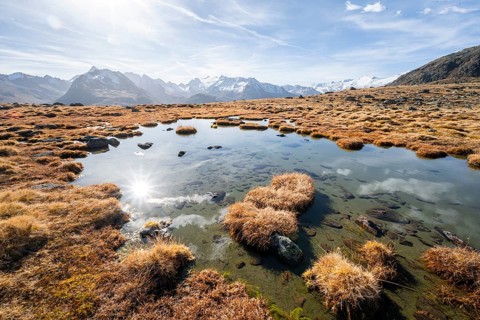 Small lake on the high plateau of the Gurgler Seenplatte, glaciated mountain peaks in the