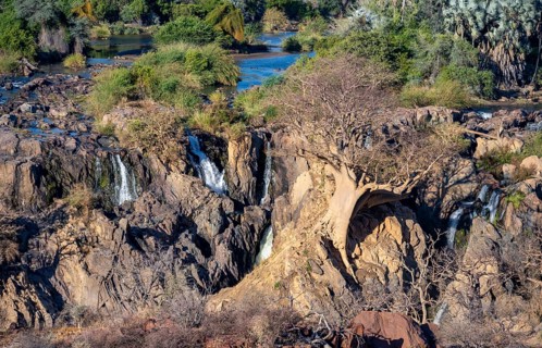 Kunene River, waterfall and African Baobab (Adansonia digitata), in the evening light, Epupa Falls,