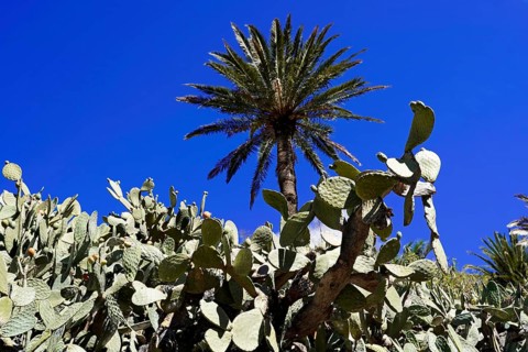 Mountain village Masca, Masca Gorge, Montana Teno Mountains, Tenerife, Canary Islands, Spain,