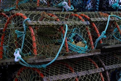 Stacks of lobster traps with fishing nets and ropes, maritime atmosphere
