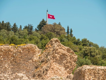 Remains of an ancient wall with waving flag and surrounding trees, Tunis in Africa with ruins from