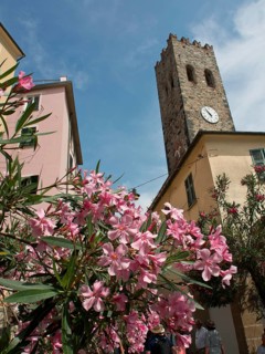 Urban scenery with a historic tower and pink flowering plants in the foreground under a blue sky,