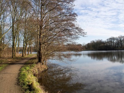Path along a lake with bare trees, reflections in the water and a blue sky, small lake with hiking