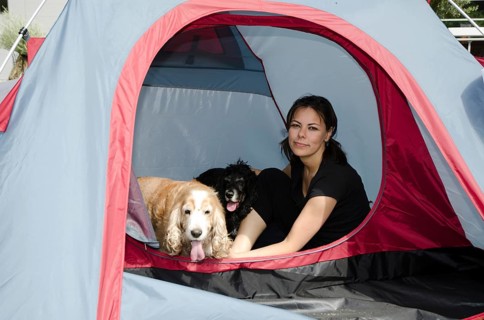 Woman Making Camping and Sitting Inside a Tent with Her Two Cute Cocker Spaniel Dogs in a Sunny Day