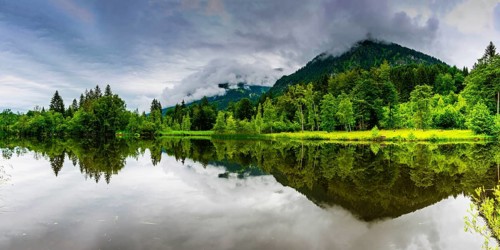 Water reflection in the moor pond, near Oberstdorf, Oberallgaeu, Allgaeu, Bavaria, Germany, Europe